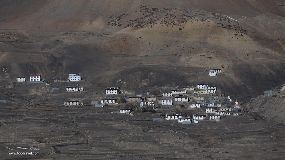 IMG_4351 kibber spiti valley