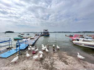 lower lake in bhopal